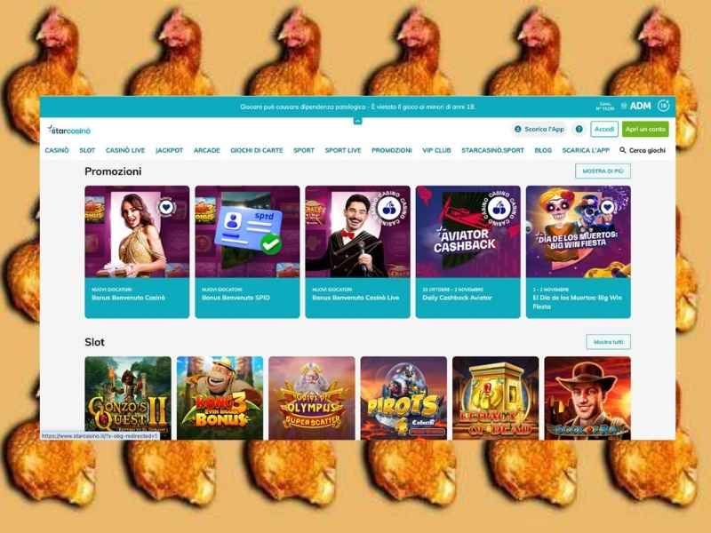 Zahlungsmöglichkeiten bei Star Casino